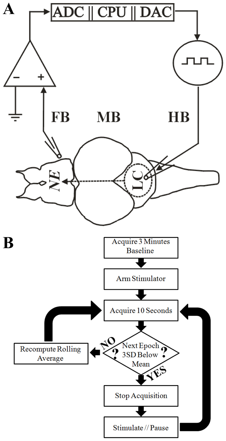 Fig. 3.