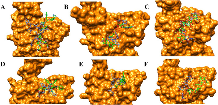 Fig. 10