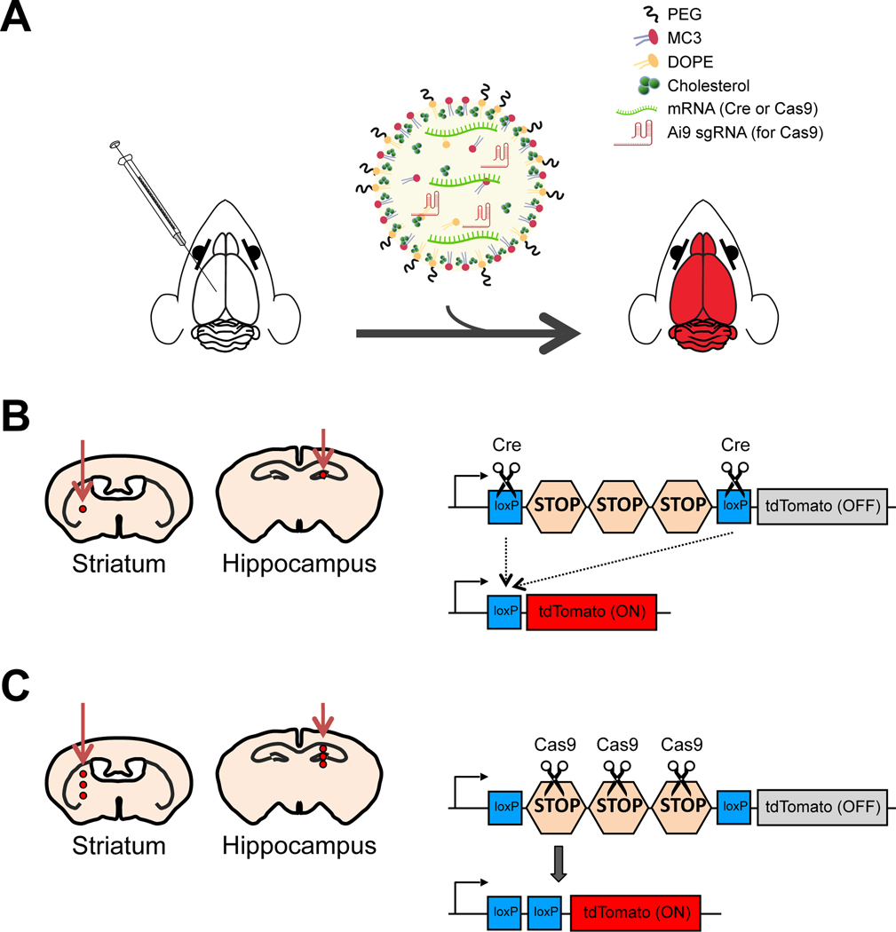 Figure 1.