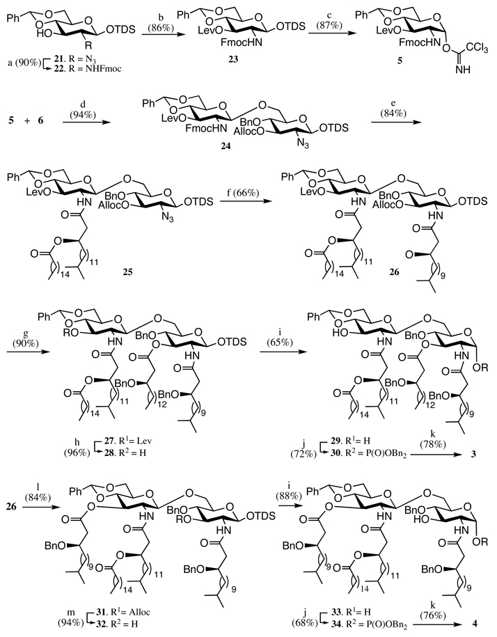 Scheme 2