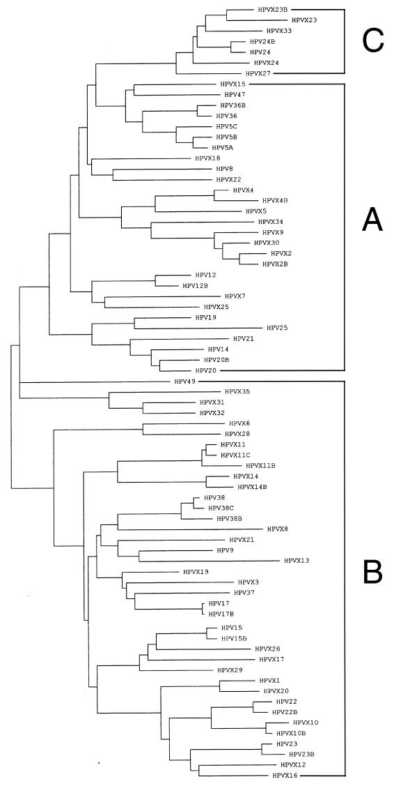 FIG. 1