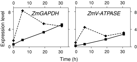 Fig. 6