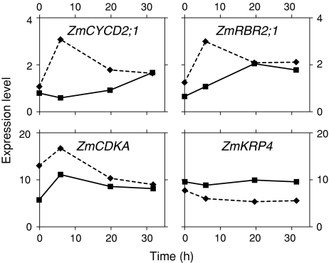 Fig. 4