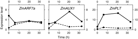 Fig. 3