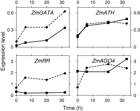 Fig. 2