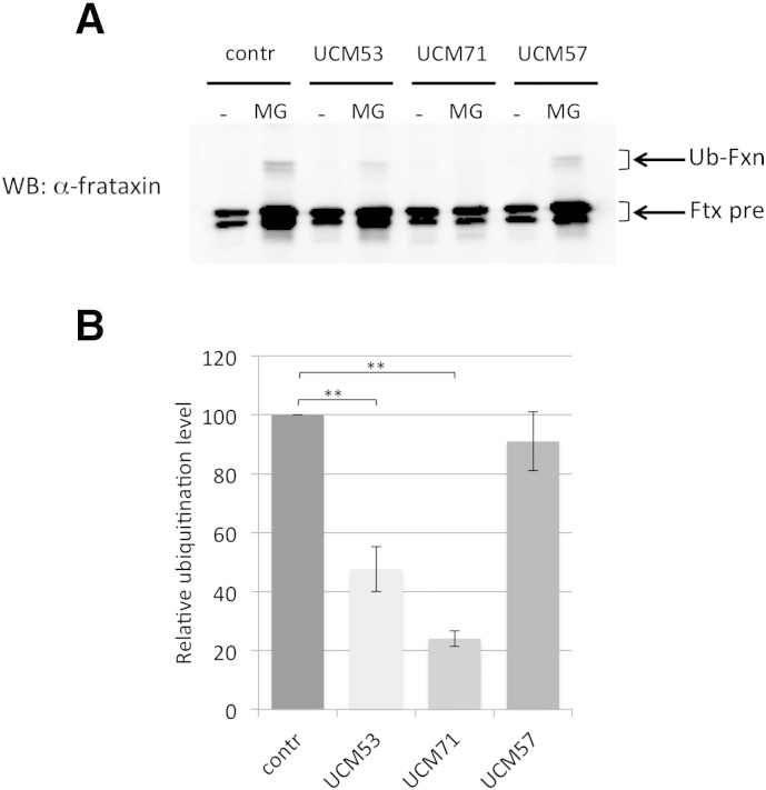 Fig. 3