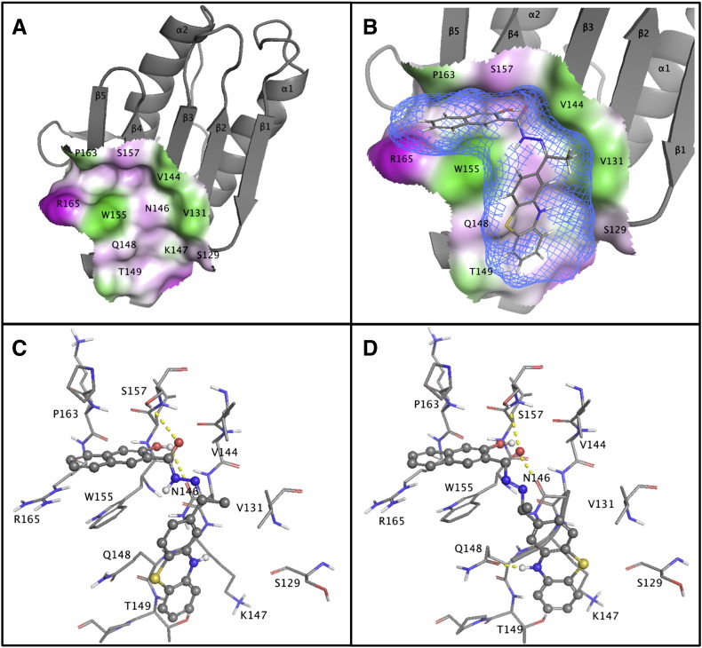 Fig. 1