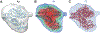 Fig. 11