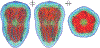 Fig. 12