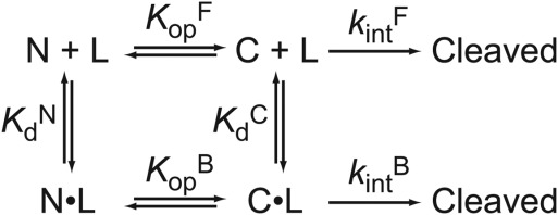 Scheme 2