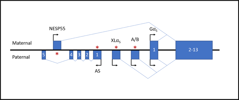 Figure 1.