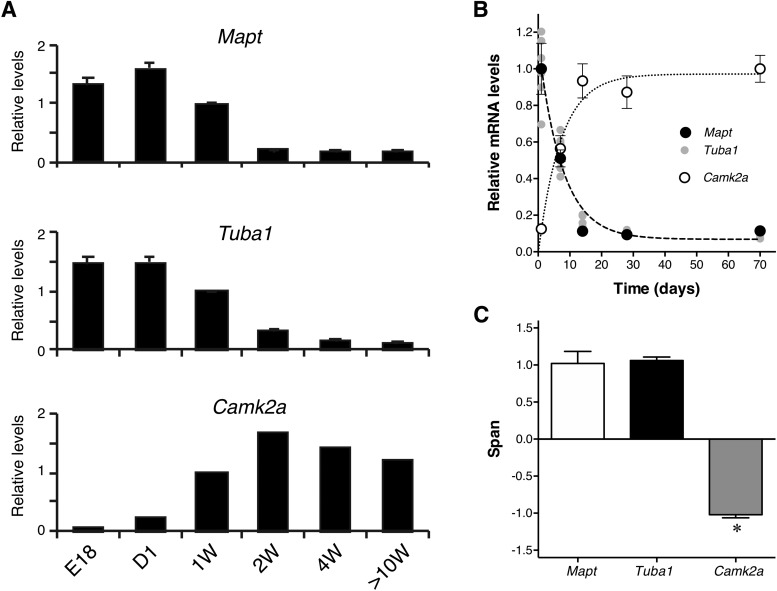 Figure 10.