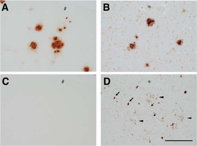 Figure 14.