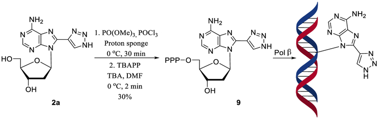 Scheme 3.