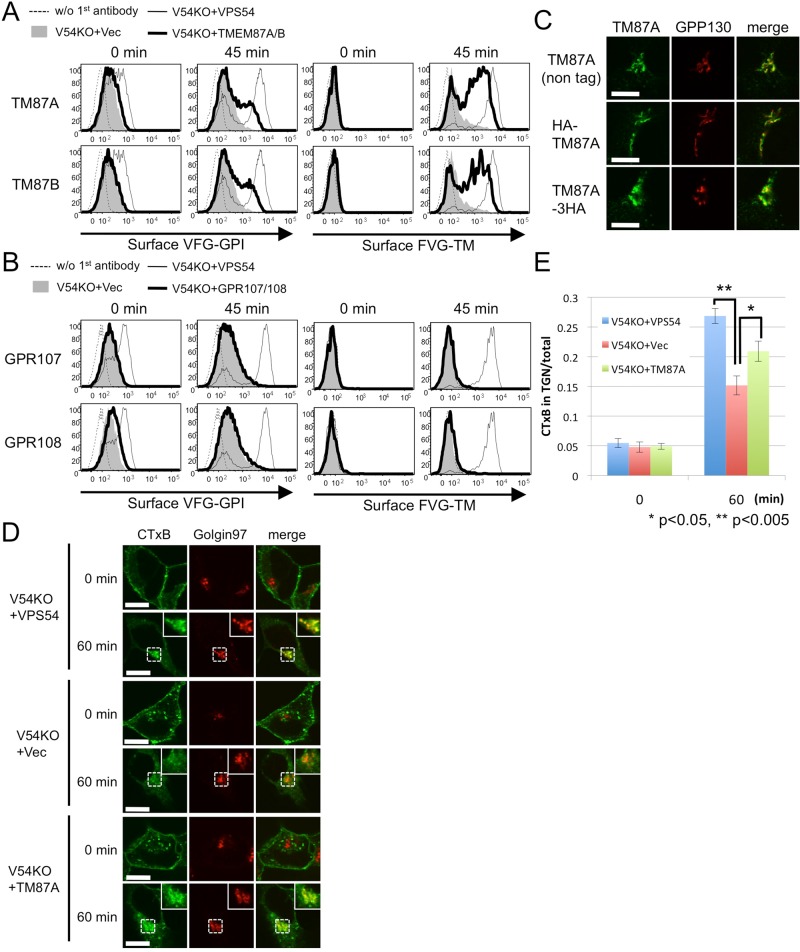 FIGURE 6: