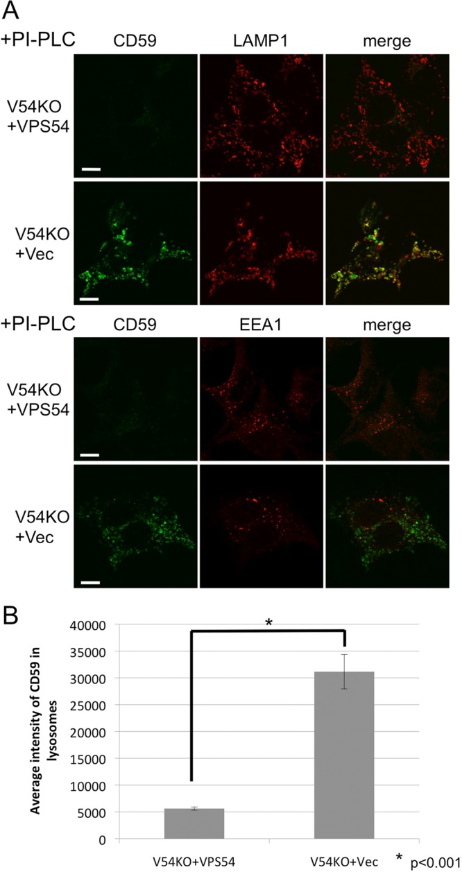 FIGURE 4: