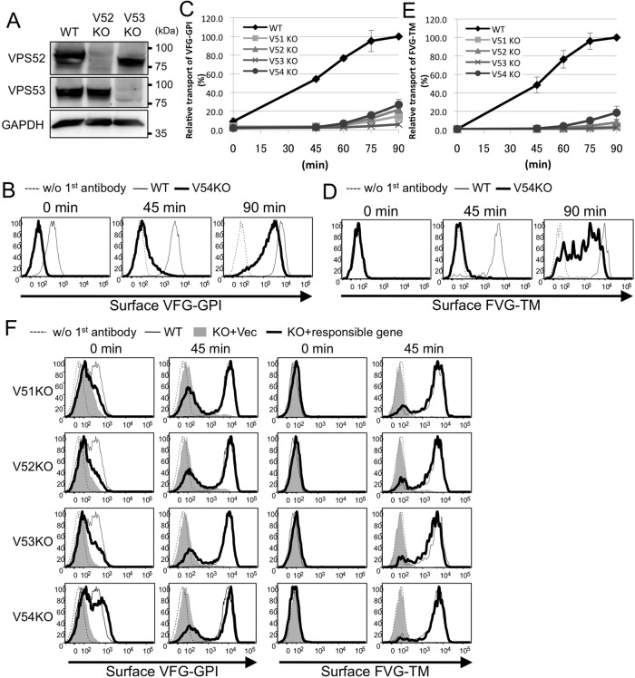 FIGURE 2: