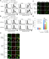 FIGURE 6: