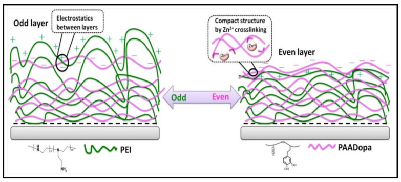 Figure 12