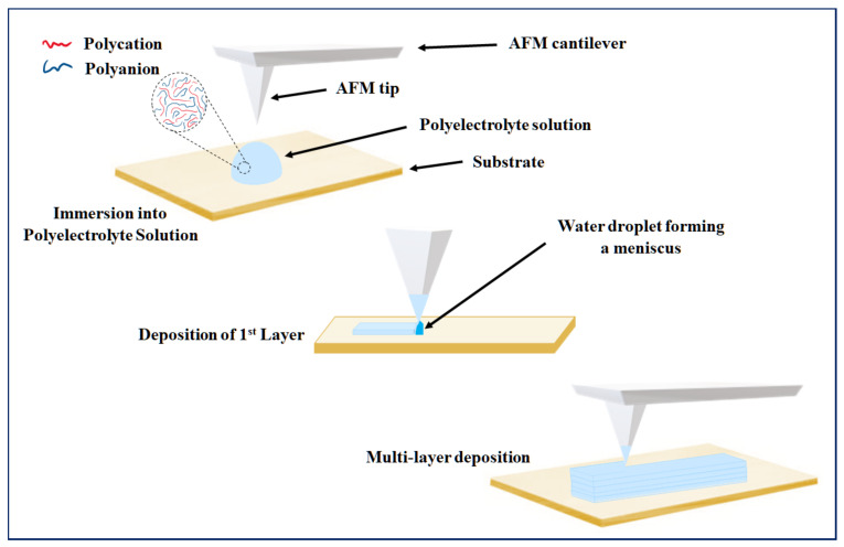 Figure 7