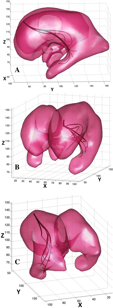 Fig. 8