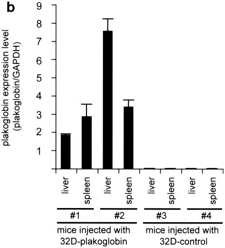 FIG. 9.