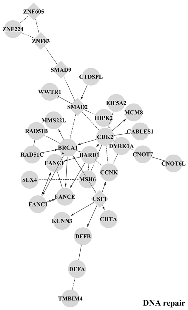 Figure 6.