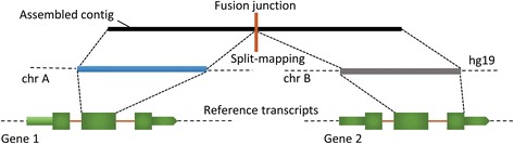 Fig. 2