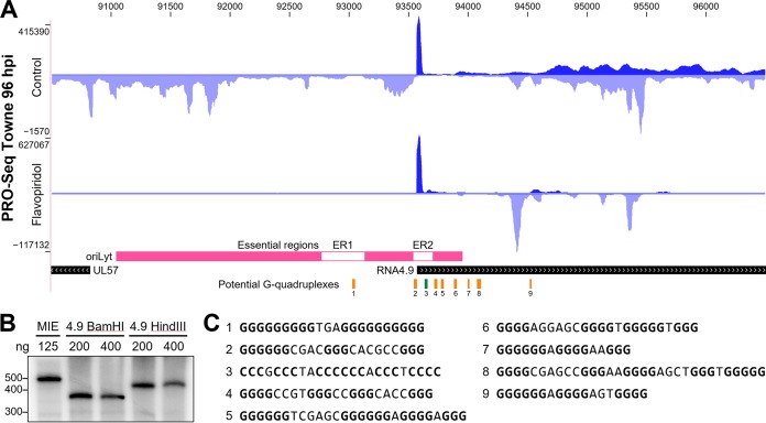 FIG 4