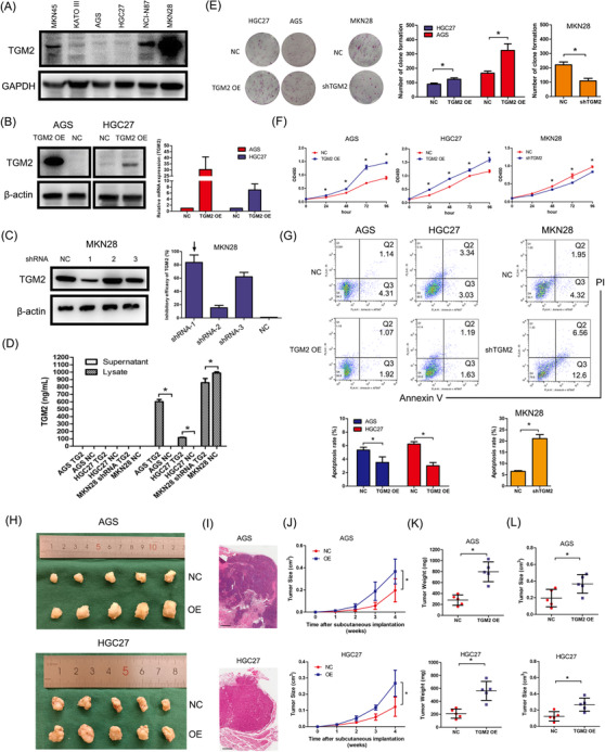 FIGURE 2