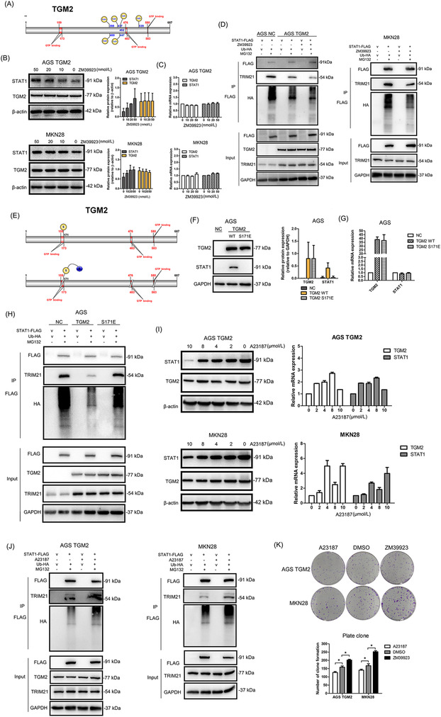 graphic file with name CAC2-43-123-g009.jpg