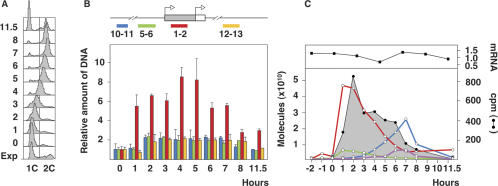 Figure 4.