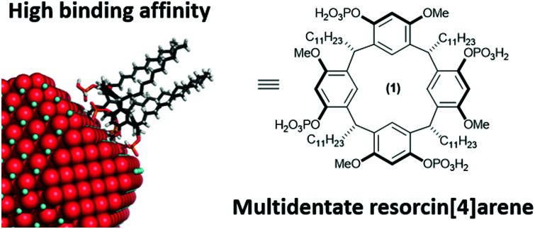 graphic file with name d1cc00223f-ga.jpg