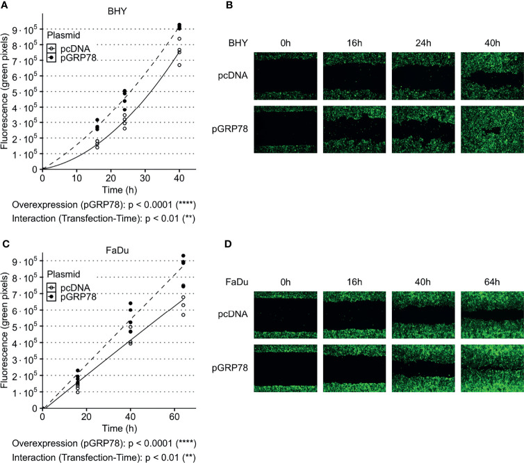 Figure 4