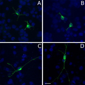 Figure 3