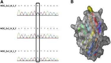 Figure 2