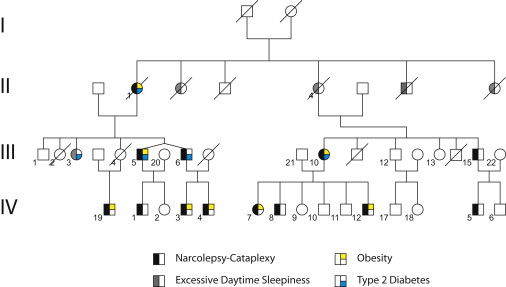 Figure 1