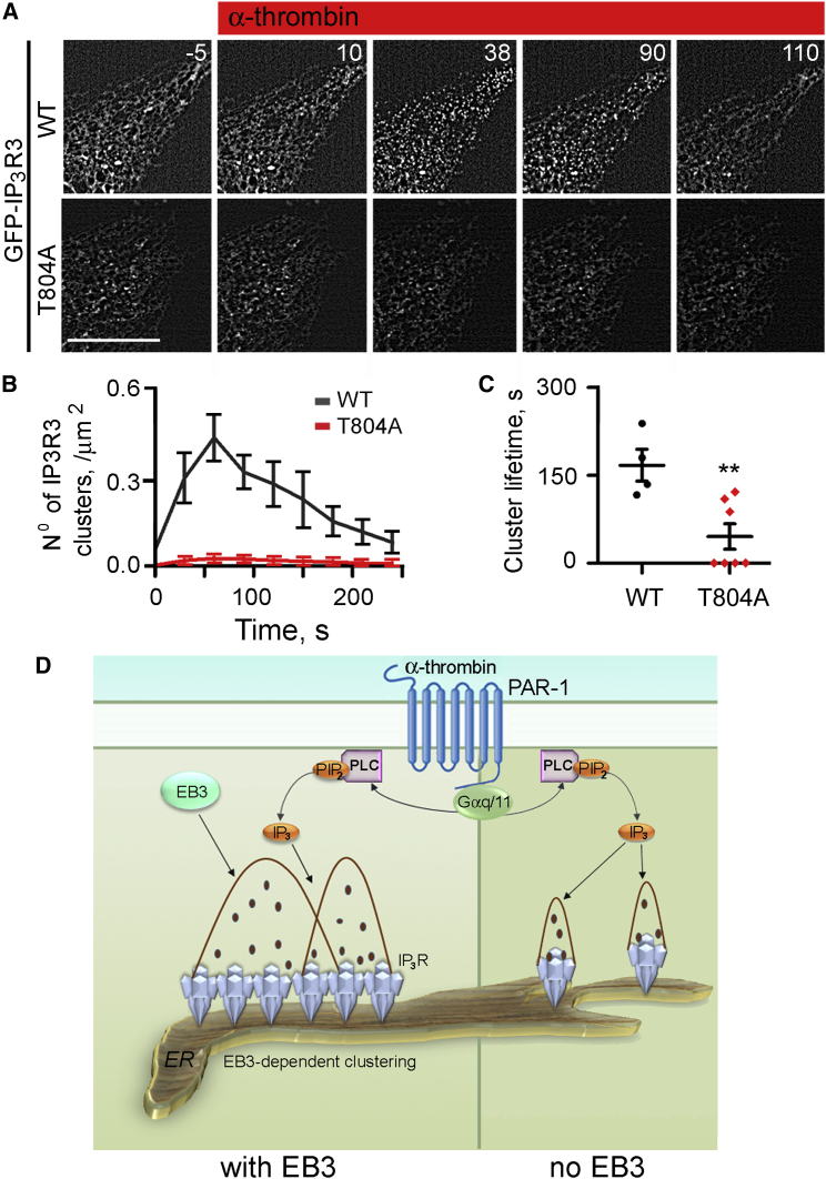 Figure 5