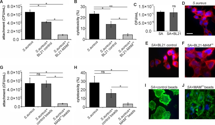 FIG 6