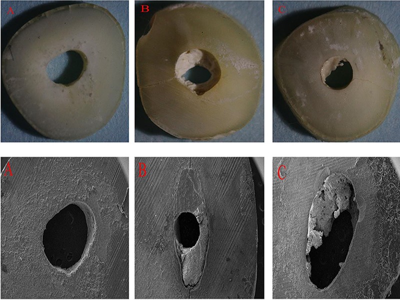 Figure 1.