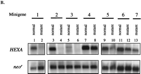 FIG. 5