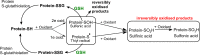 Fig. 10