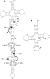 FIG. 1.