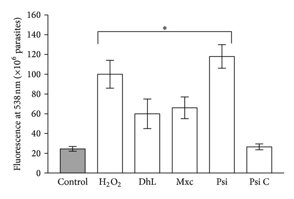 Figure 5