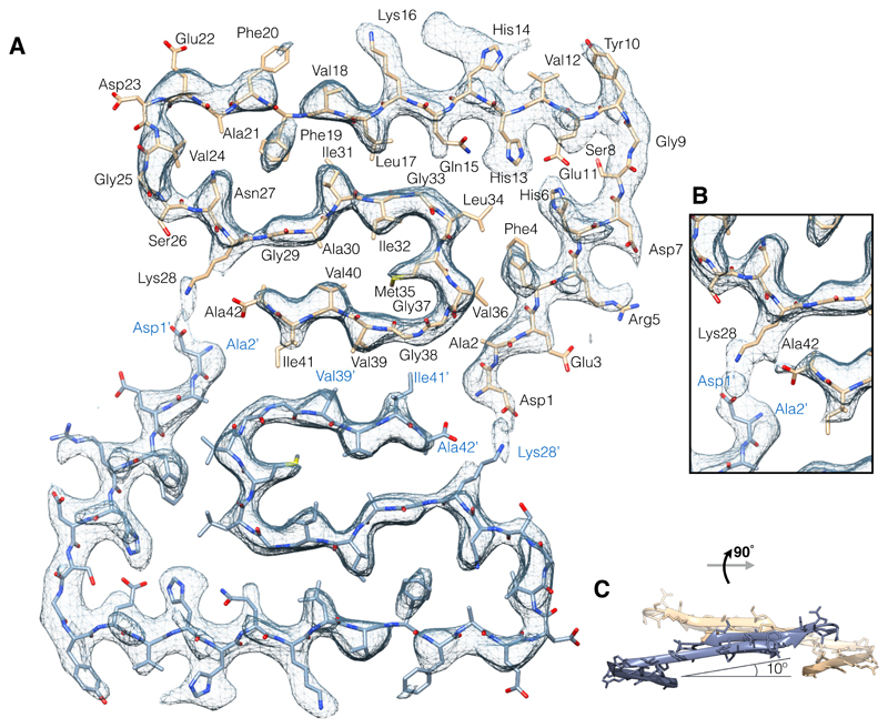 Fig. 2