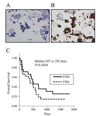 Fig. (2)