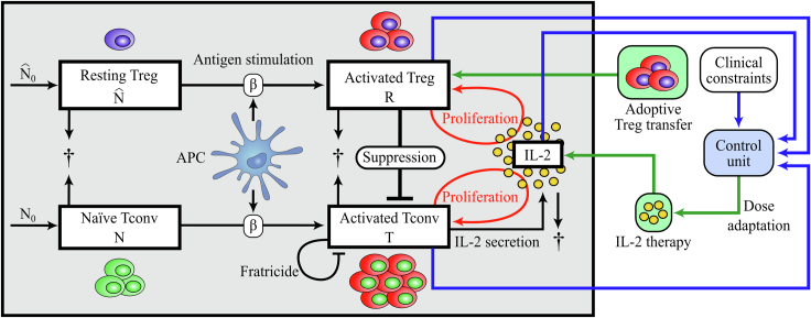 Figure 1