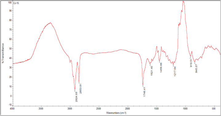 Fig. 4