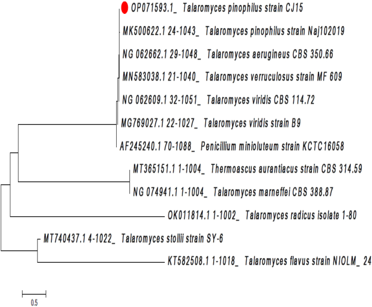 Fig. 3