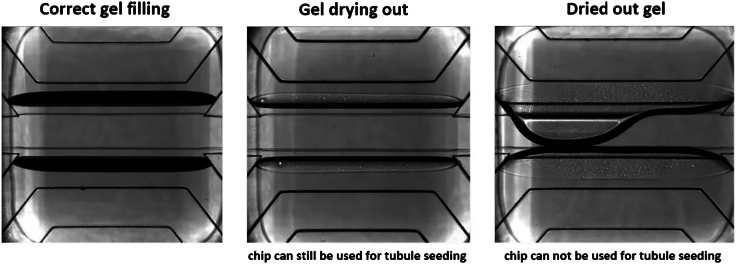 Figure 7